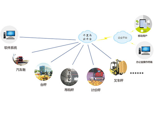 汽車衡智能稱重系統